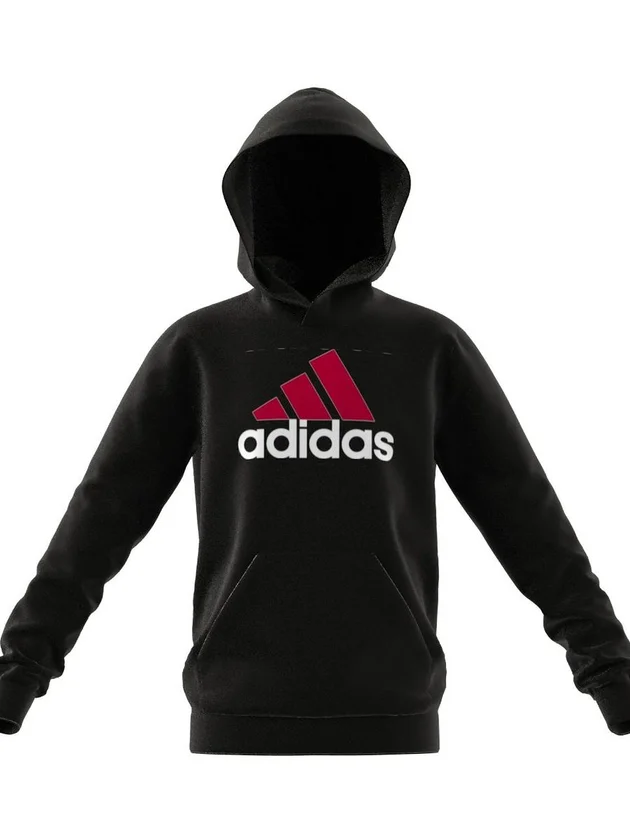U Bl 2 Hoodie