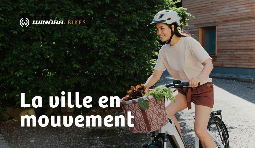 Explorez de nouveaux horizons avec les WINORA Tria X9 et Tria X8