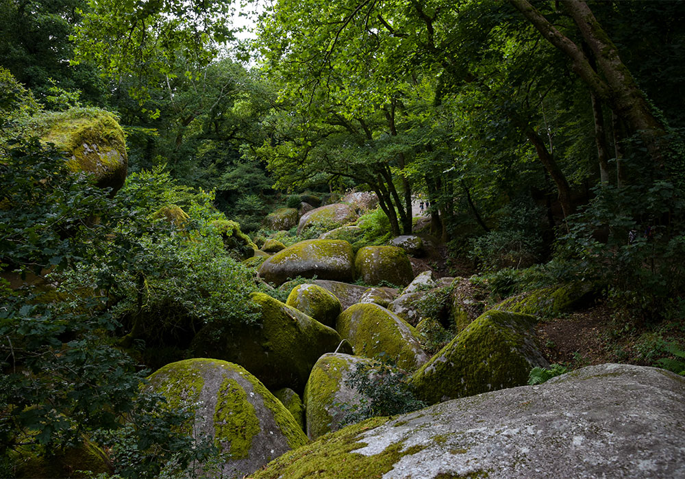 Forêt de Huelgoat