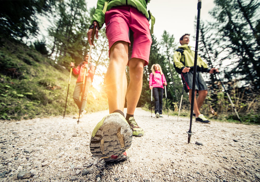 Les plus belles forêts de France pour faire une randonnée