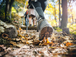 Nos conseils Trail
